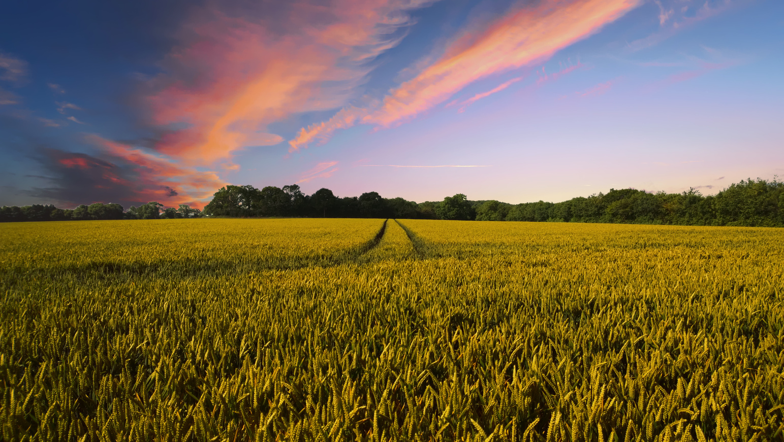 Farm in the Countryside